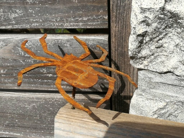 Edelrost Spinne zum Schrauben