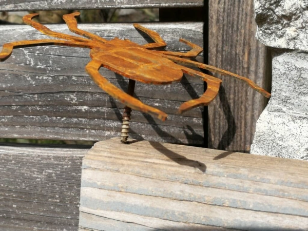 Edelrost Spinne zum Schrauben