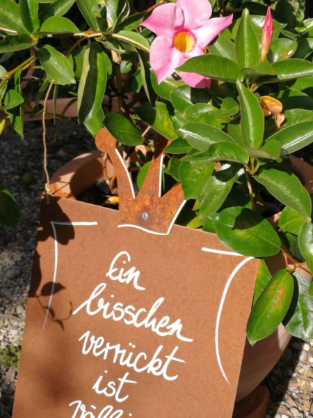 Edelrost Schild Verrückt, mit Krone