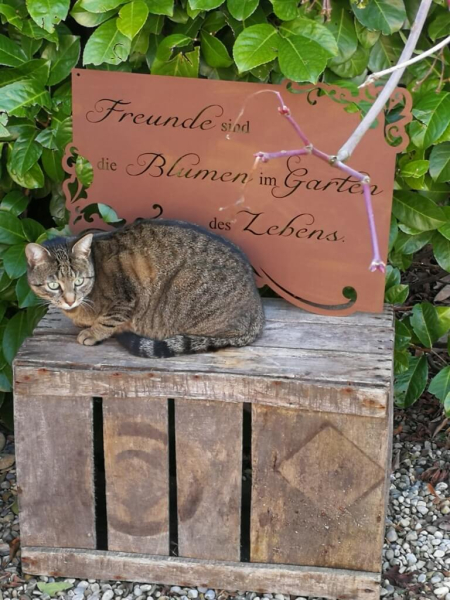 Edelrost Gedichttafel Freunde