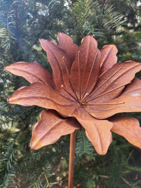 Edelrost Blume Alessia