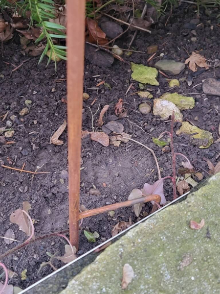 Edelrost Stecker Blume Antje