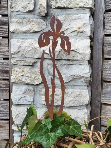 Edelrost Topfstecker Iris