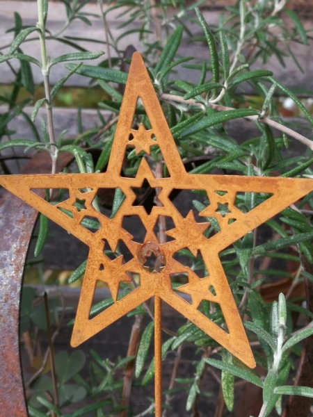 Topfstecker Stern Jul, Rostoptik