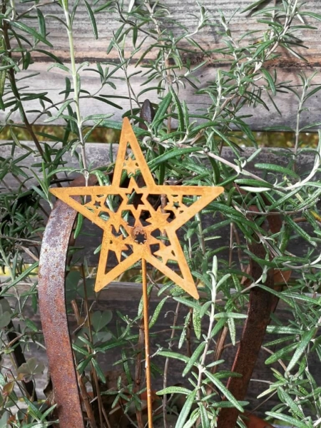 Topfstecker Stern Jul, Rostoptik