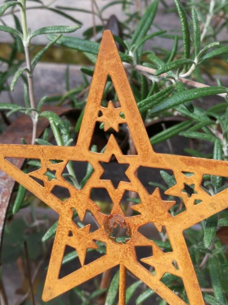 Topfstecker Stern Jul, Rostoptik