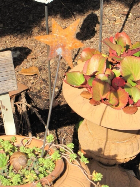 Edelrost Gartenstecker Stern klein