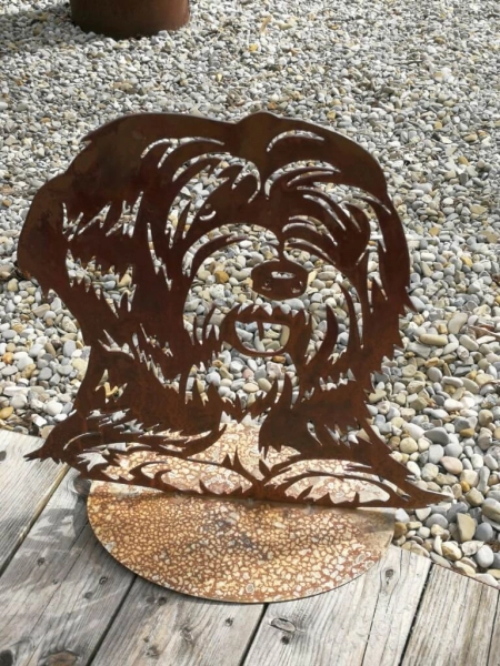 Edelrost Tibet-Terrier Gustav