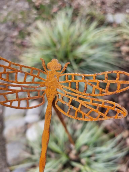 Edelrost Topfstecker Libelle, offen