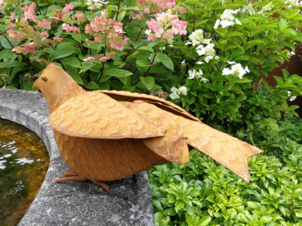 Edelrost Vogel Adalbert