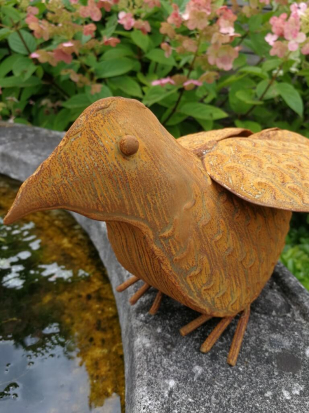 Edelrost Vogel Adalbert