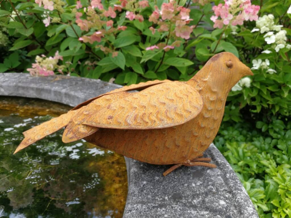 Edelrost Vogel Adalbert