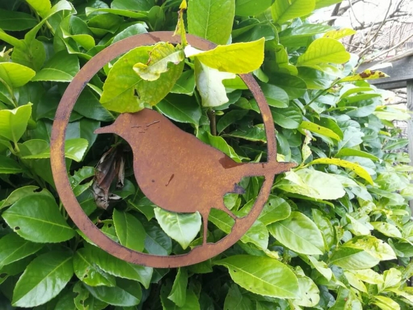 Edelrost Vogel im Ring, Amsel