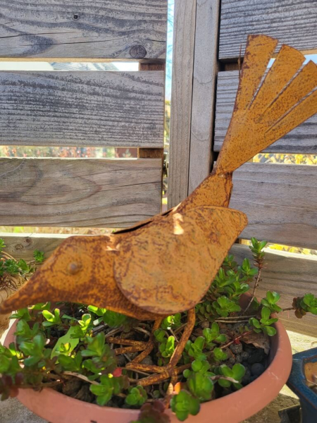 Edelrost Vogel Birdy