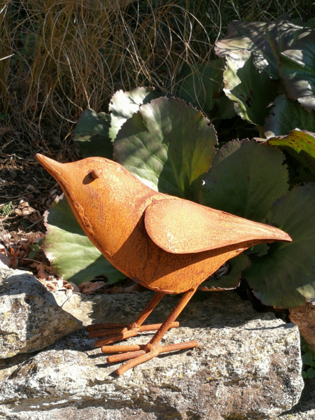 Edelrost Vogel Franz, Kopf nach oben