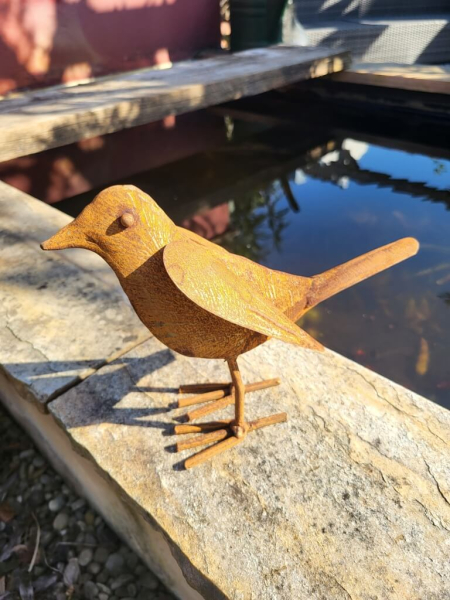 Edelrost Vogel Holger