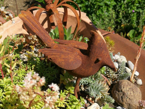Edelrost Vogel Ignaz