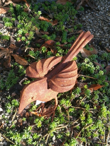 Edelrost Vogel Kunigunde, klein