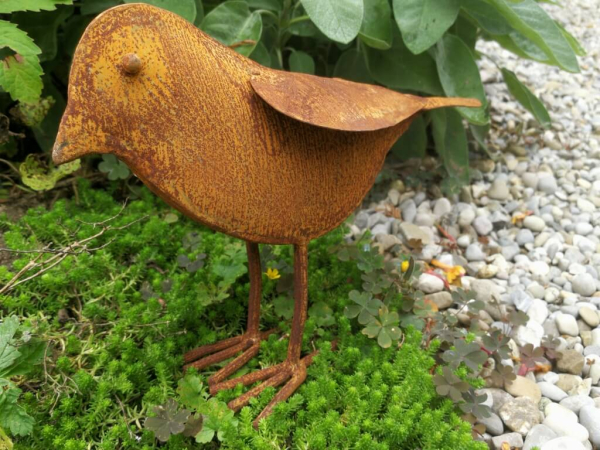 Edelrost Vogel Peter