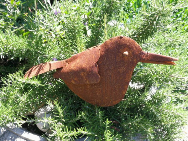 Edelrost Vogel Riccarda