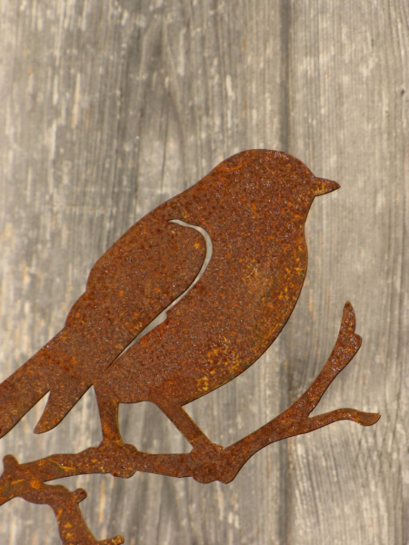 Edelrost Vogel auf Zweig mit seitlichem Spieß