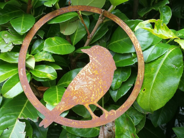 Edelrost Vogel im Ring, nach hinten schauend