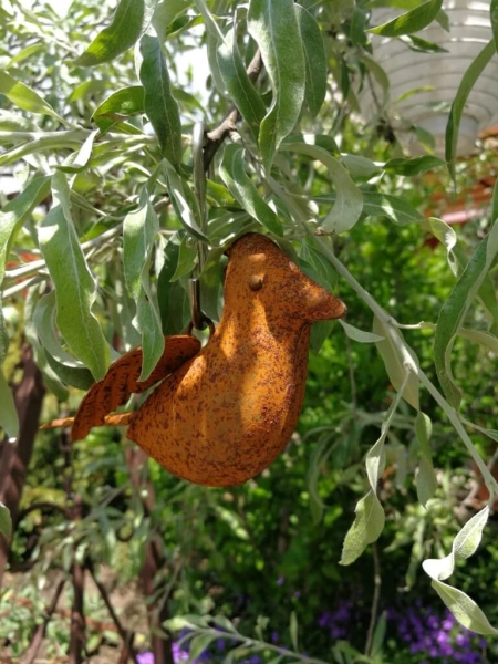 Edelrost Vogel Isbert, zum Hängen