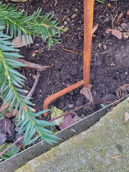 Edelrost Vogelhaus Amy, zum Stecken, rund