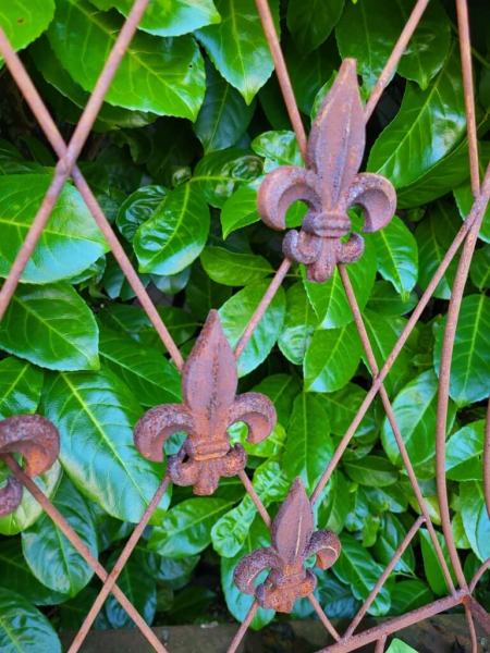 Edelrost Wandjardiniere mit Lilien, groß