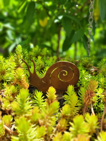 Edelrost Weinbergschnecke