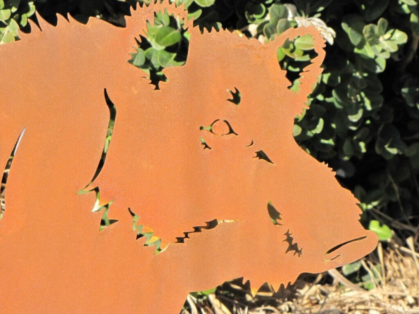Edelrost Wildschwein Gunnar