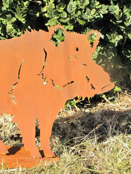 Edelrost Wildschwein Gunnar