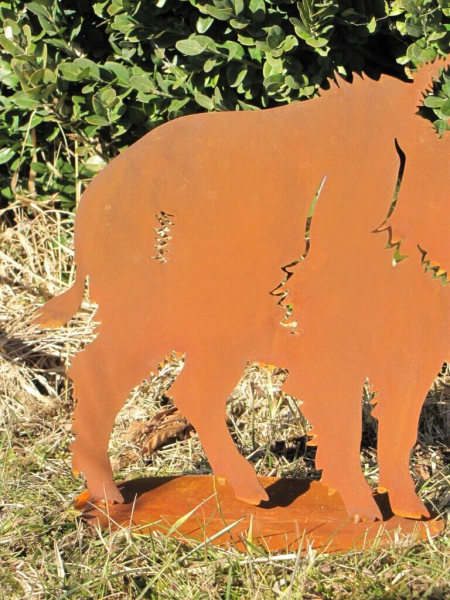 Edelrost Wildschwein Gunnar