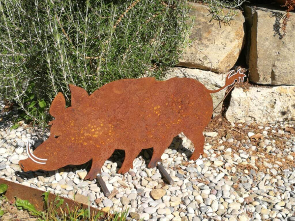 Edelrost Wildschwein Wolfgang