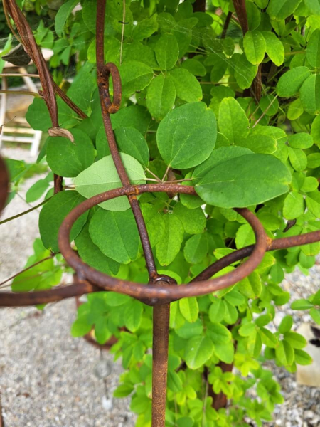 Edelrost Windlicht mit Dach, zum Stecken