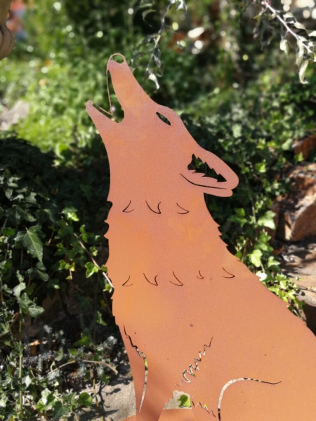 Edelrost heulender Wolf