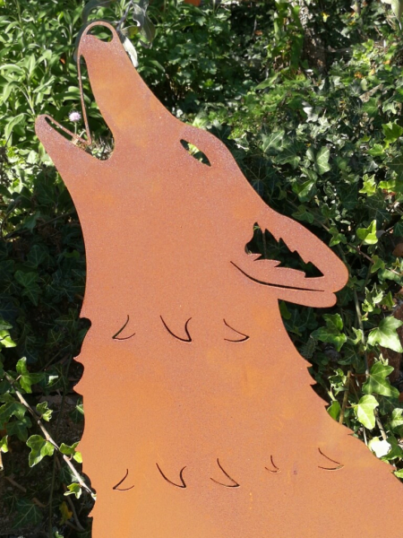 Edelrost heulender Wolf