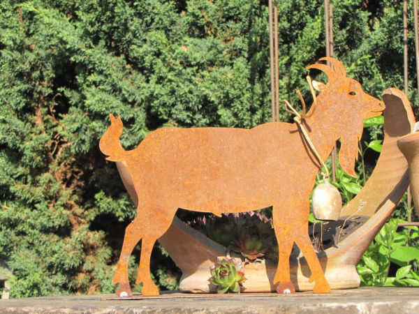 Edelrost Ziegenbock auf Platte