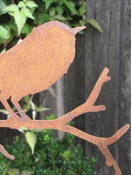 Edelrost kleiner Vogel stehend auf Zweig mit seitlichem Spieß