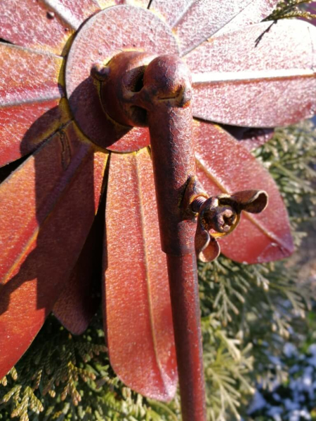 Edelrostoptik Blume Cherry