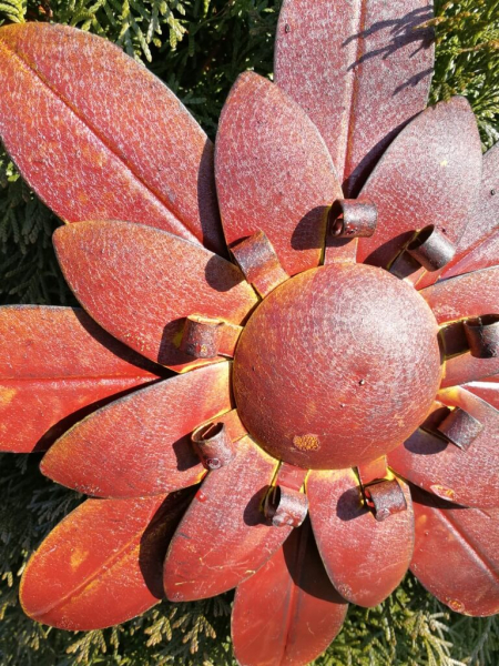 Edelrostoptik Blume Cherry