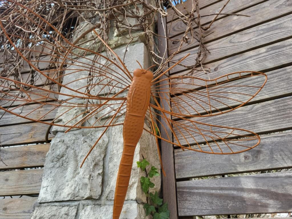 Edelrostoptik Libelle zum Hängen, für die Wand