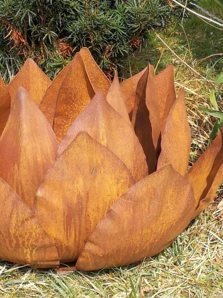 Edelrost Agave 60 cm
