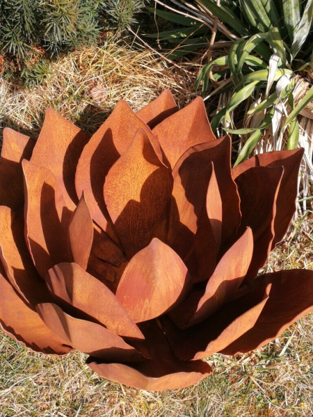 Edelrost Agave