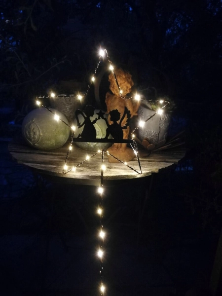 LED Gartenstecker Stern