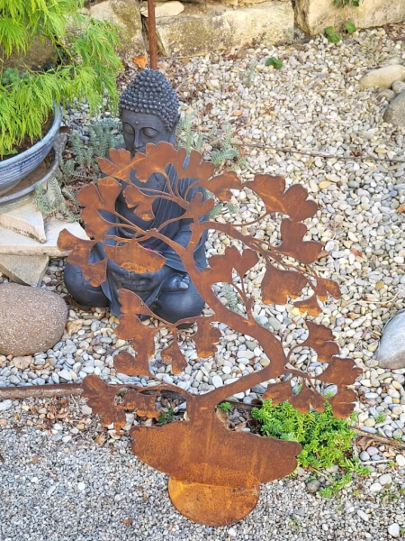 Edelrost Bonsai Ginkgo