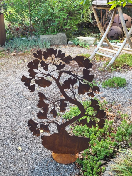 Edelrost Bonsai Ginkgo