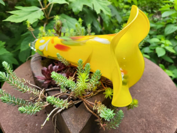 Glas Glockenblume Gelb, zum Stecken