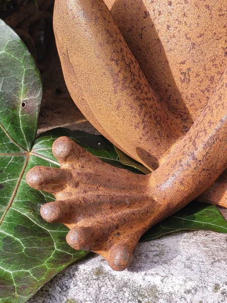 Gusseisen Frosch Matty