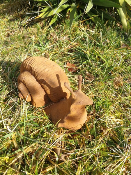 Gusseisen Schnecke